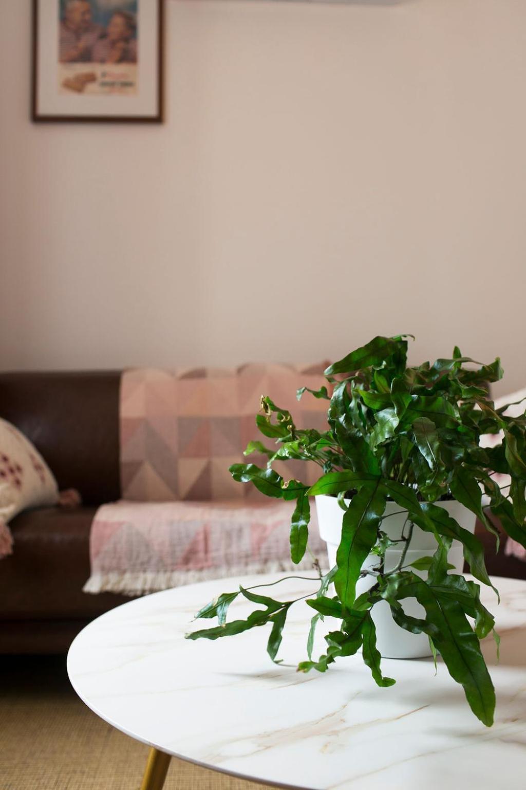 William Arnott Boutique Accommodation Morpeth Room photo